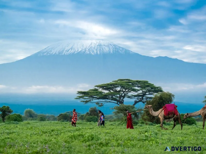 Kilimanjaro expeditions and safari bookings 2026 prices