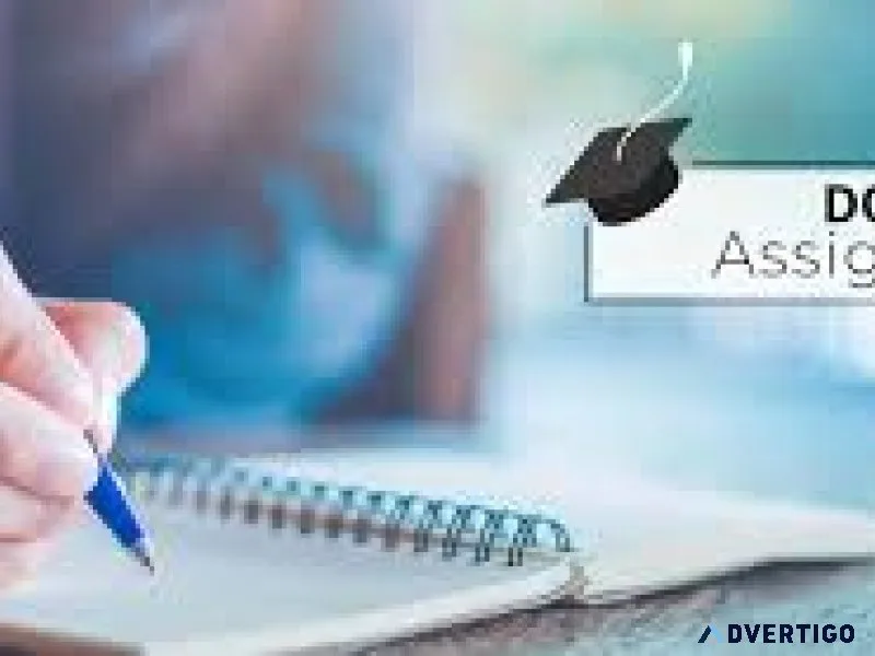 My assignment help expert