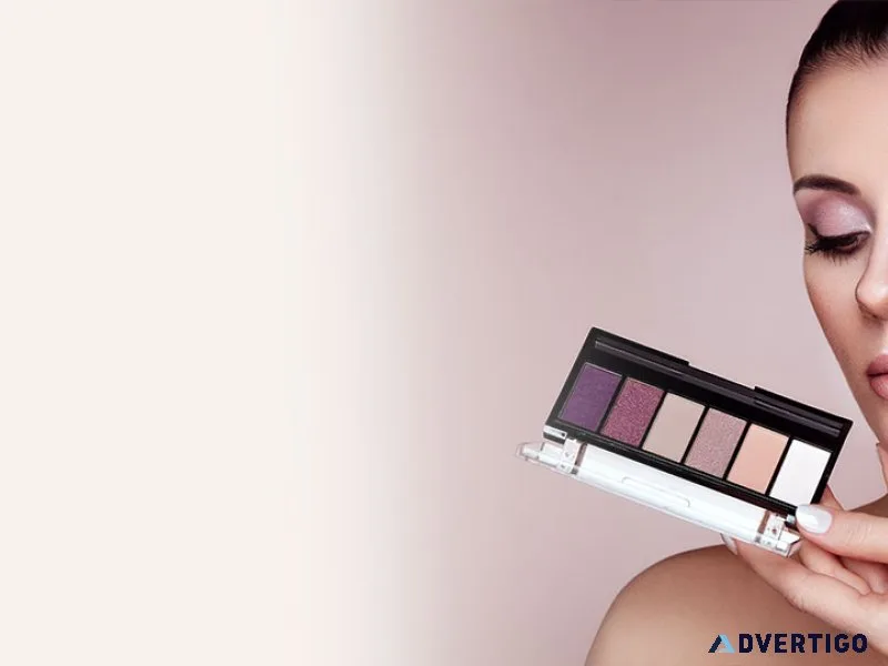 Vlcc complete makeup artist program