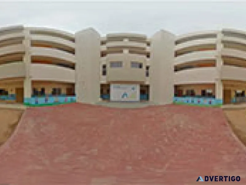 Vista international school