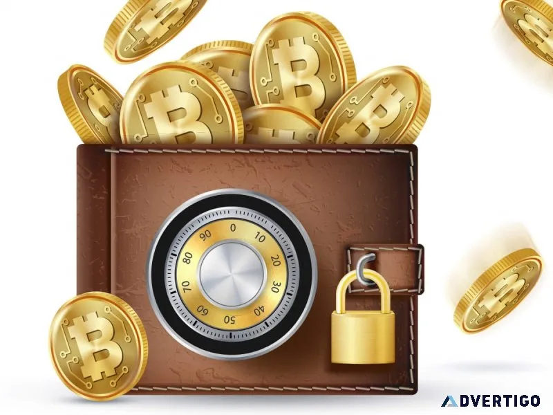 Reliable crypto wallet app development services