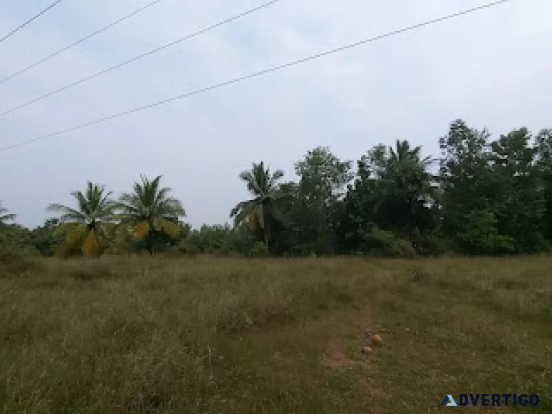 Sdn farms at kiloy village