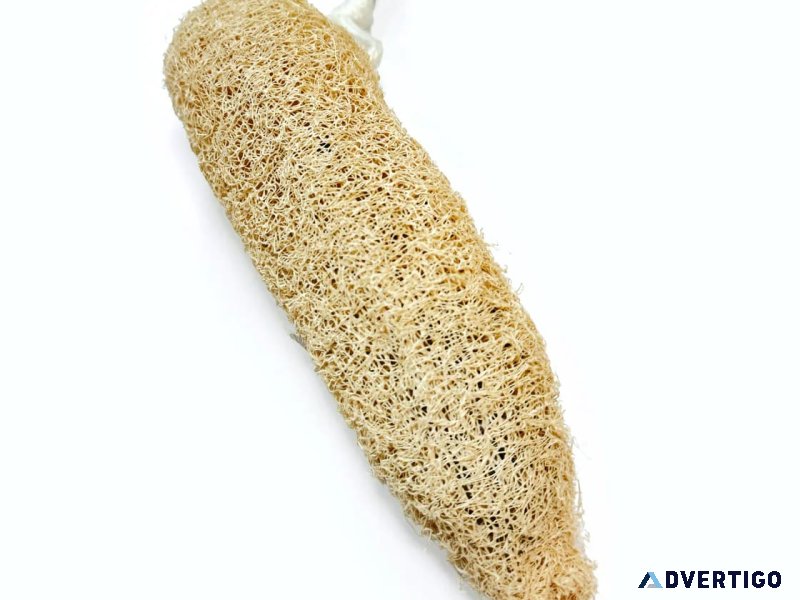 Natural body scrub loofah
