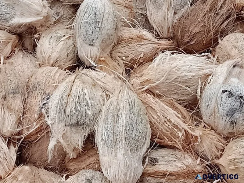 Coconut exporters in coimbatore