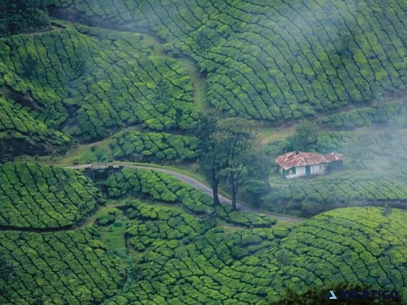 Kerala holiday packages