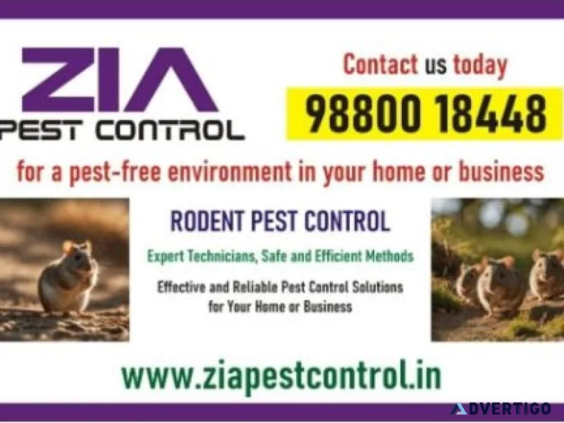 Get rid of rodent | bed bug pest control|residence and office