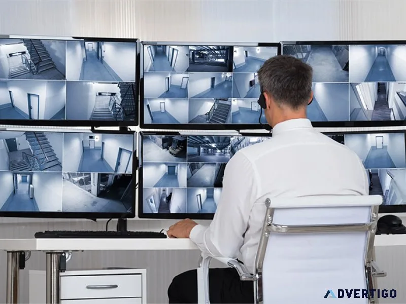 Virtual security guard