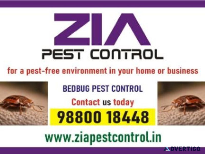 Bed bug treatment 100 % kills bed bugs | bangalore pest control