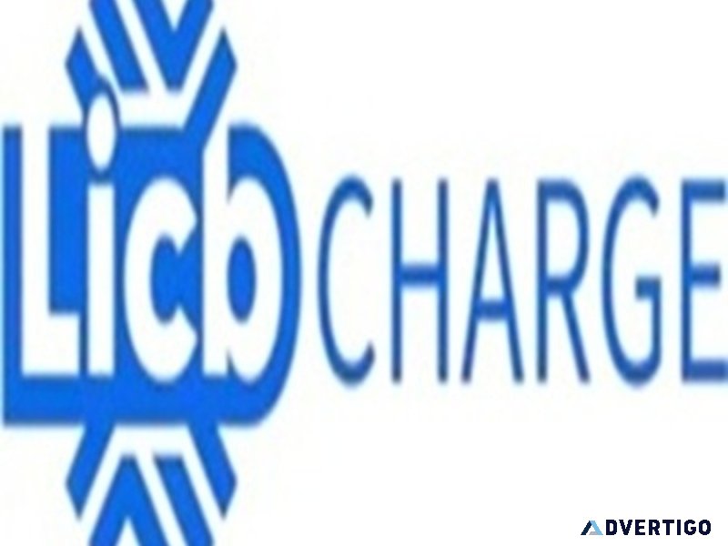 China licb ac dc ev charger co, ltd