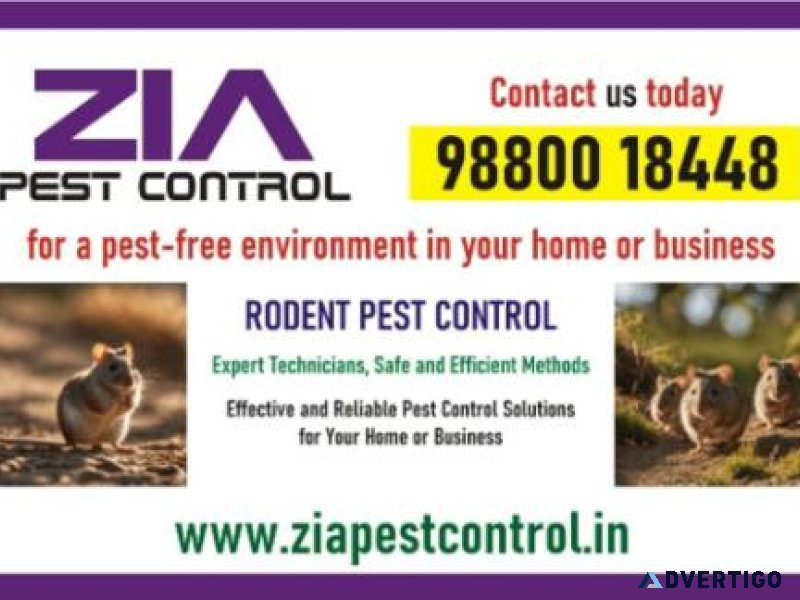 Rodent pest control for hospital | commercial rodent control | 5