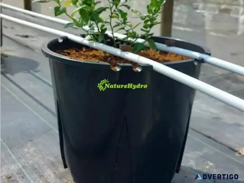 Plastic berry grow pots wholesale