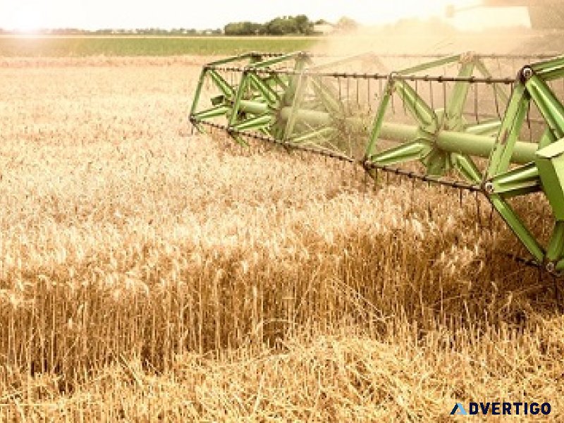 Supercharge your productivity with ai-powered grain processing m