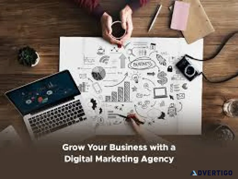 Performance marketing agency | agencyvc