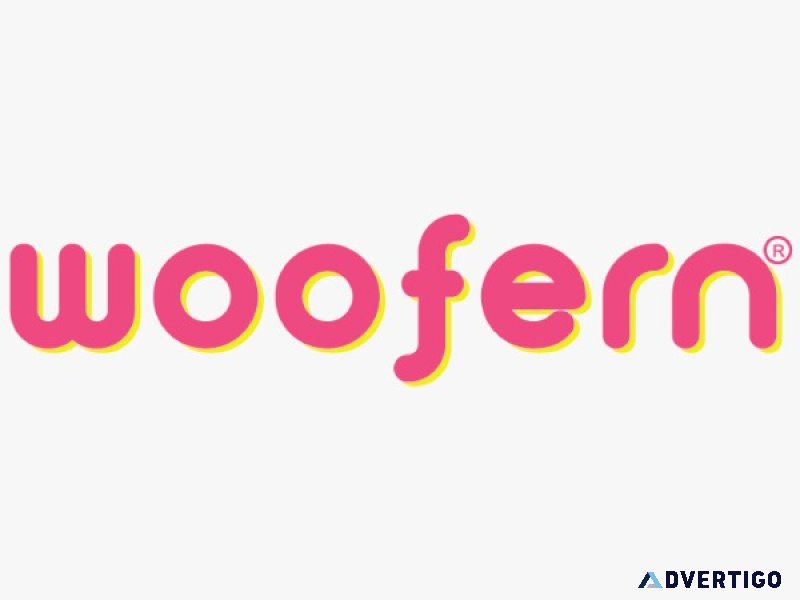 Party decorators in chandigarh - woofern