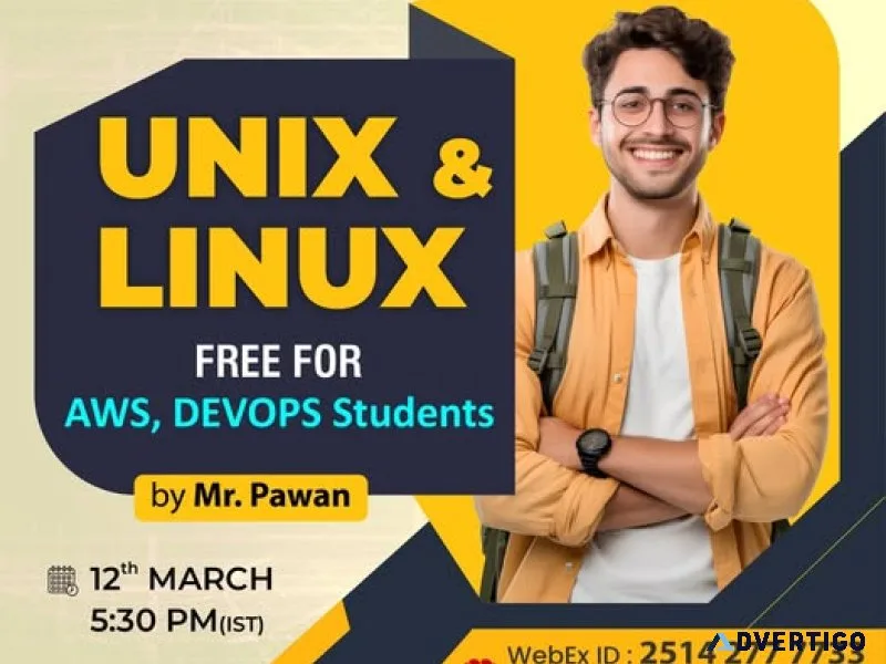 Online programming class