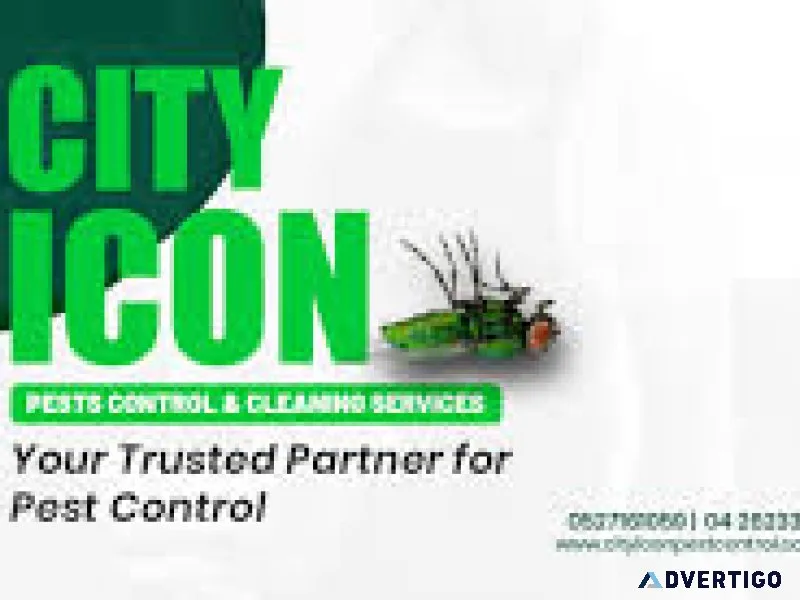 Cockroach pest control dubai