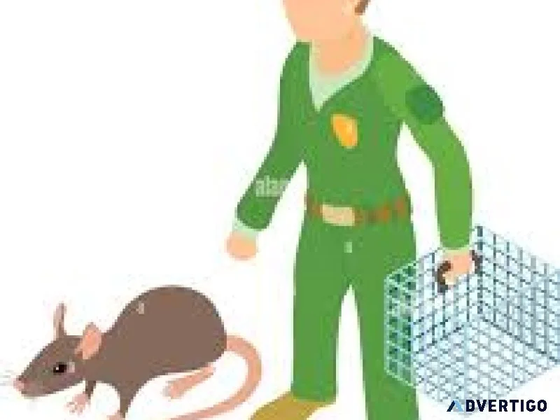 Rodent control in dubai