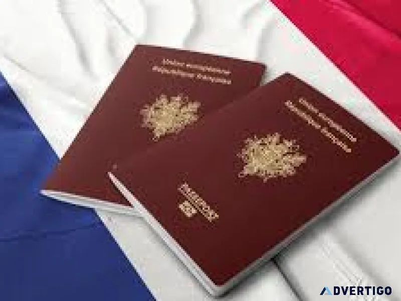 France citizenship by naturalization