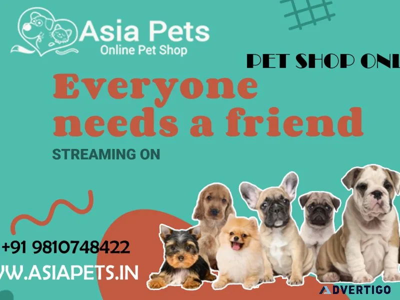 Buy purebred puppies & dogs for sale navi mumbai