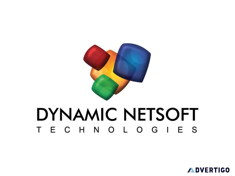 Dynamic netsoft technologies