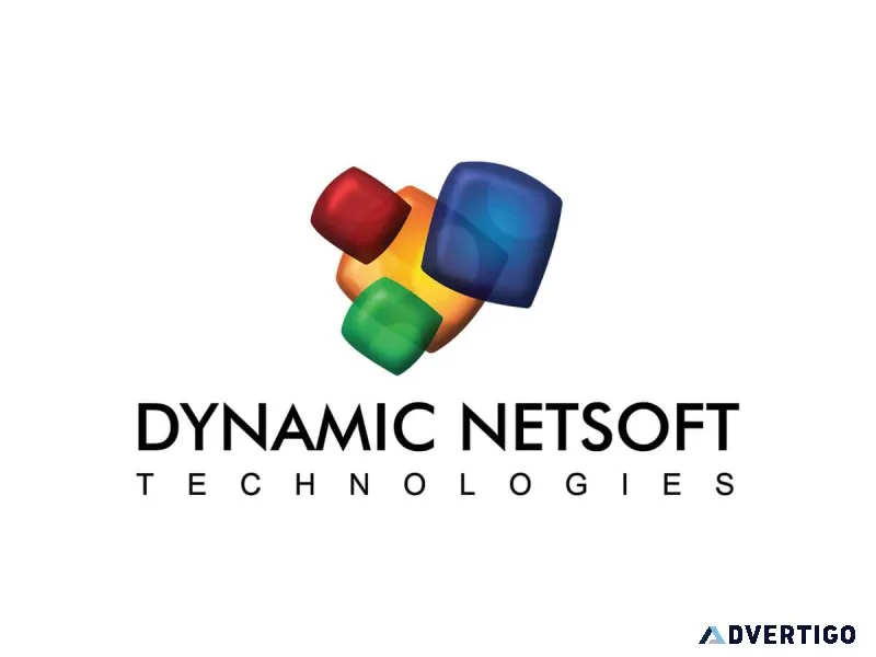 Dynamic netsoft technologies