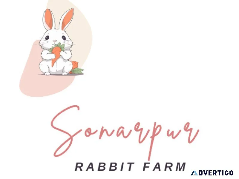 Top rabbit seller in sonarpur kolkata