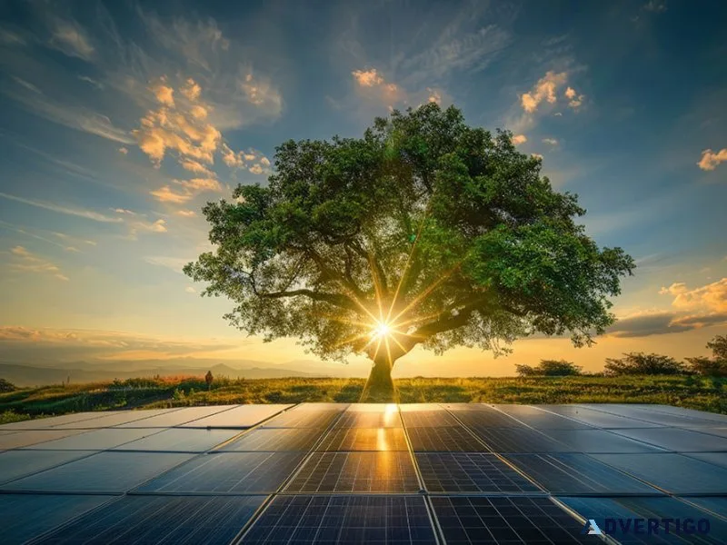 Best solar panel manufacturer company in rajasthan