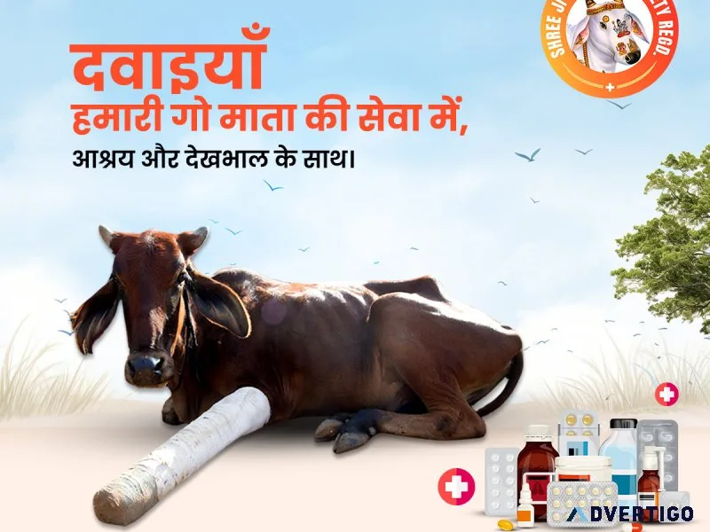 Gau seva is maha seva – donate for gaushala