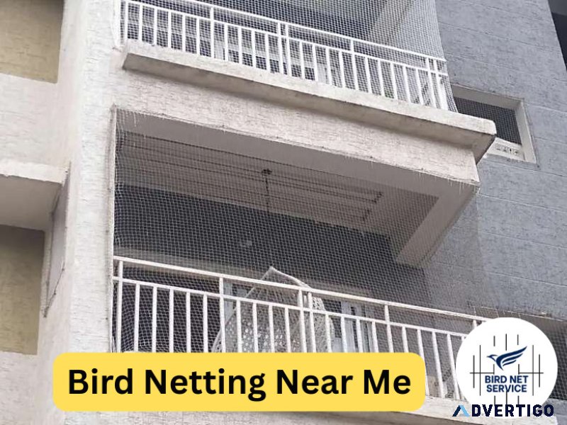 Bird netting near me: expert installation for pigeon-free spaces
