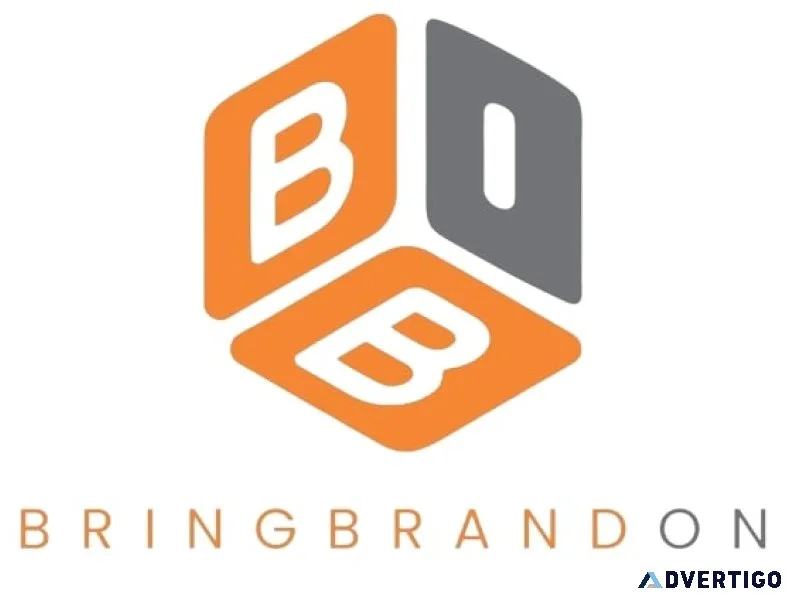 Best digital marketing agency in ludhiana | bringbrandon