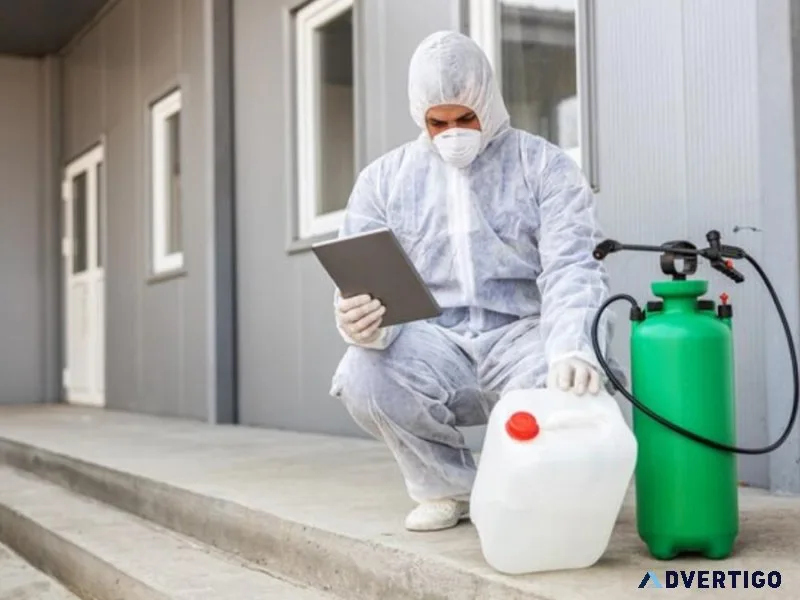 Pest control service in abu dhabi - shinex care