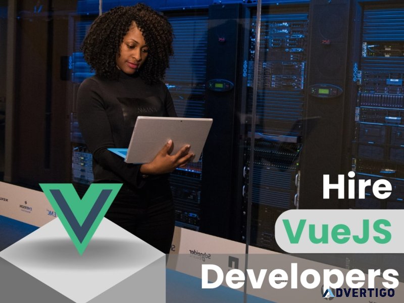 Hire vuejs developers