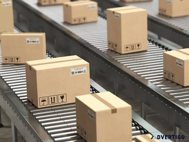 Best conveyor manufacturer for material handling systems