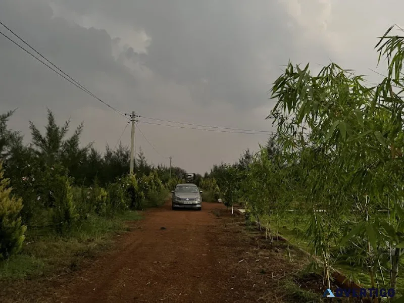 Karnataka agricultural land