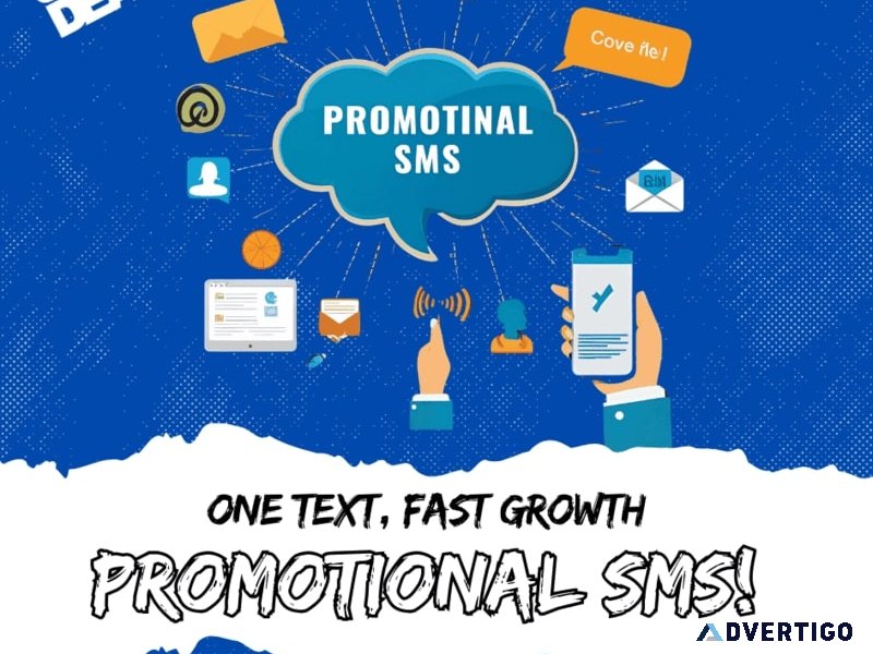 Elevate your marketing with promotional sms