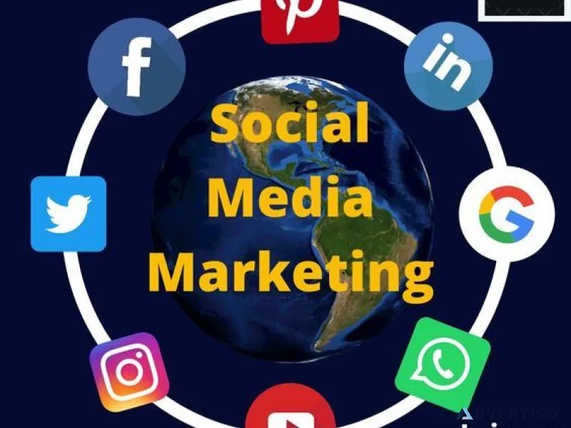 Expert social media marketing services – nova vision