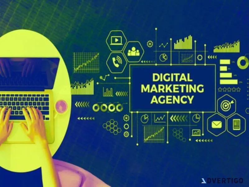 Dominate search rankings with the top seo agency in india