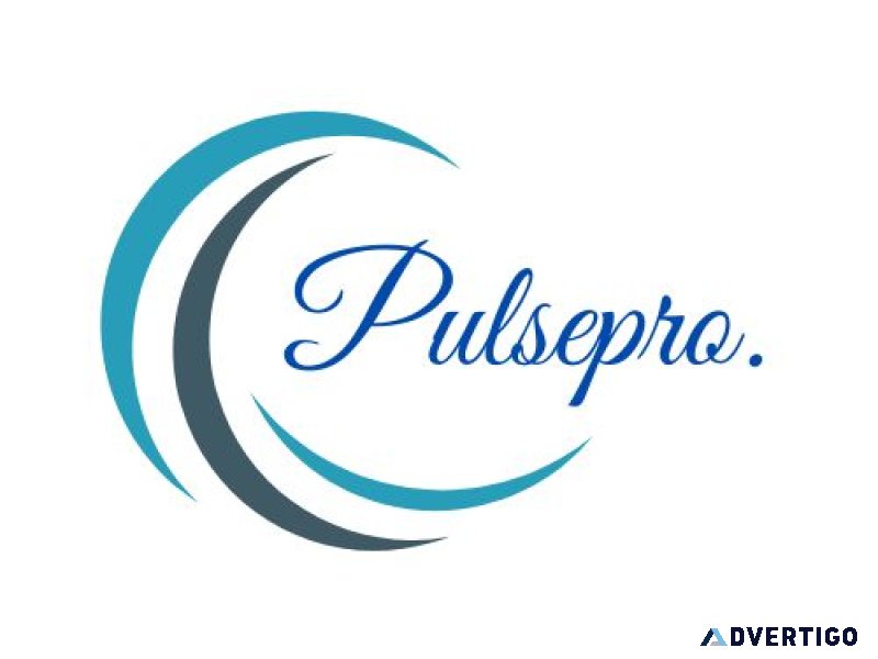 Pulsepro: best digital marketing agency in allahabad