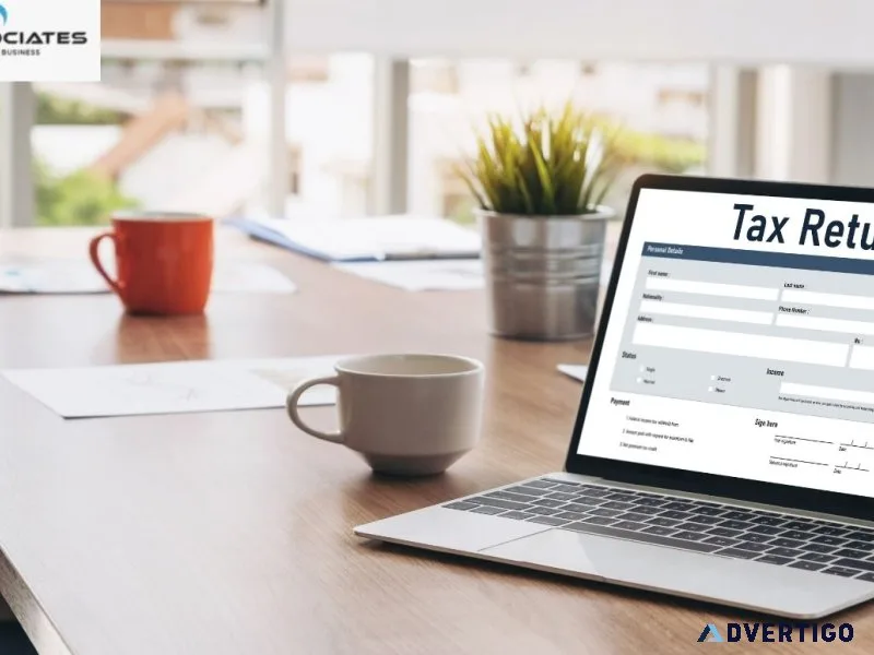 Expert income tax return filing – srv associates