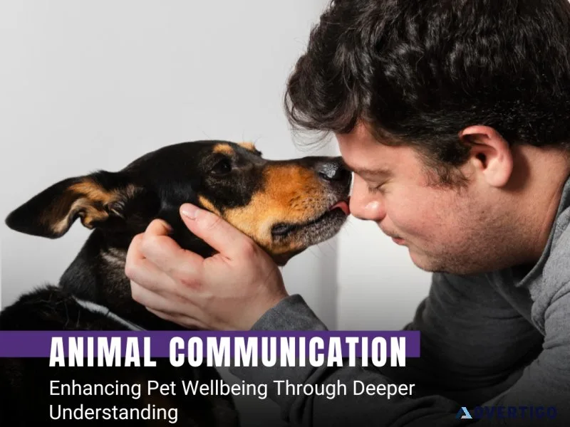 Animal communication