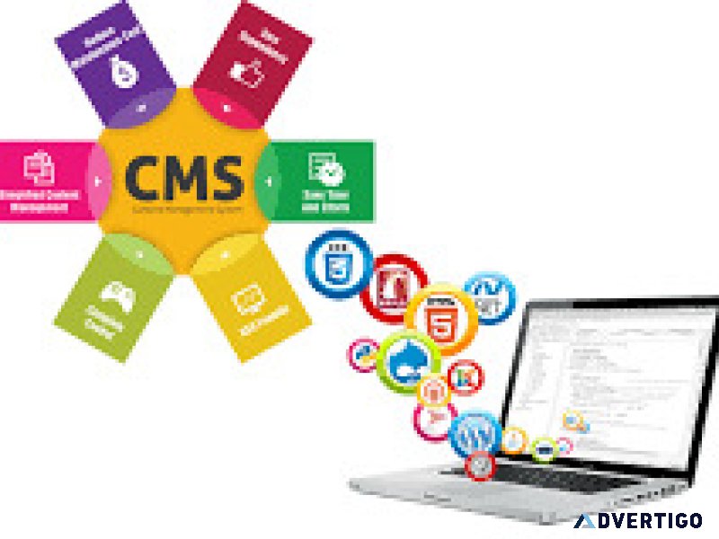 Professional services in dynamicwebsitemaintenancedynamicwebsite