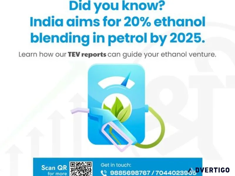 Tev reports & consulting across india’s metro cities