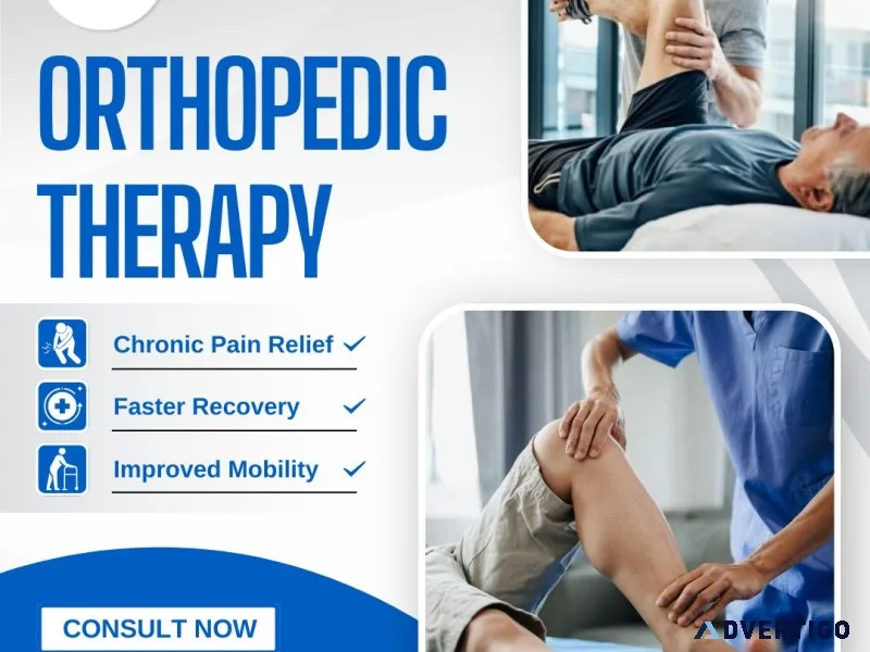 Top-rated physiotherapy in bellerose ny – meet the best experts