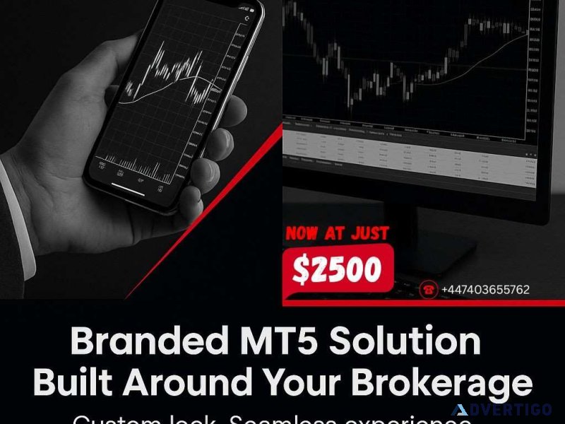 Branded mt5 grey label server – professional fx broker solution