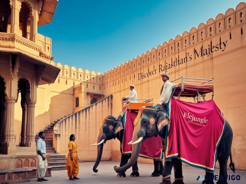 Elephant village in jaipur best place for elephant interaction