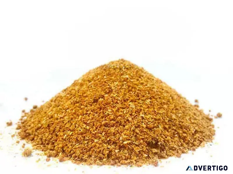 Corn ddgs suppliers