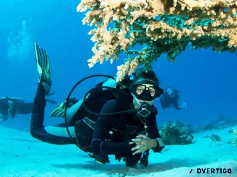 Andaman tour package from mumbai