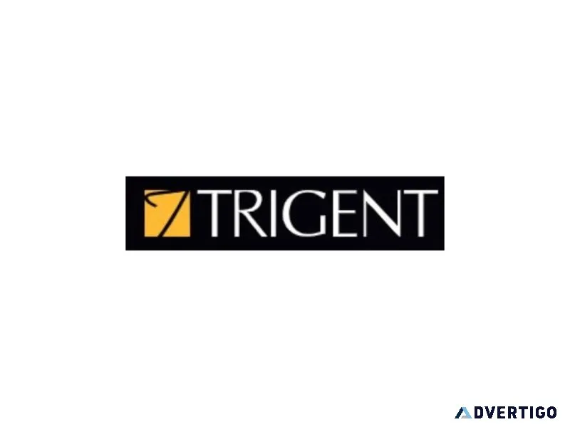 Sysytem integration services