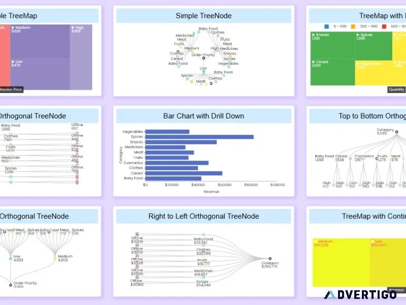Affordable data visualization for growing businesses