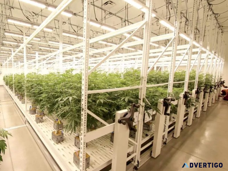 Mobile vertical grow rack system